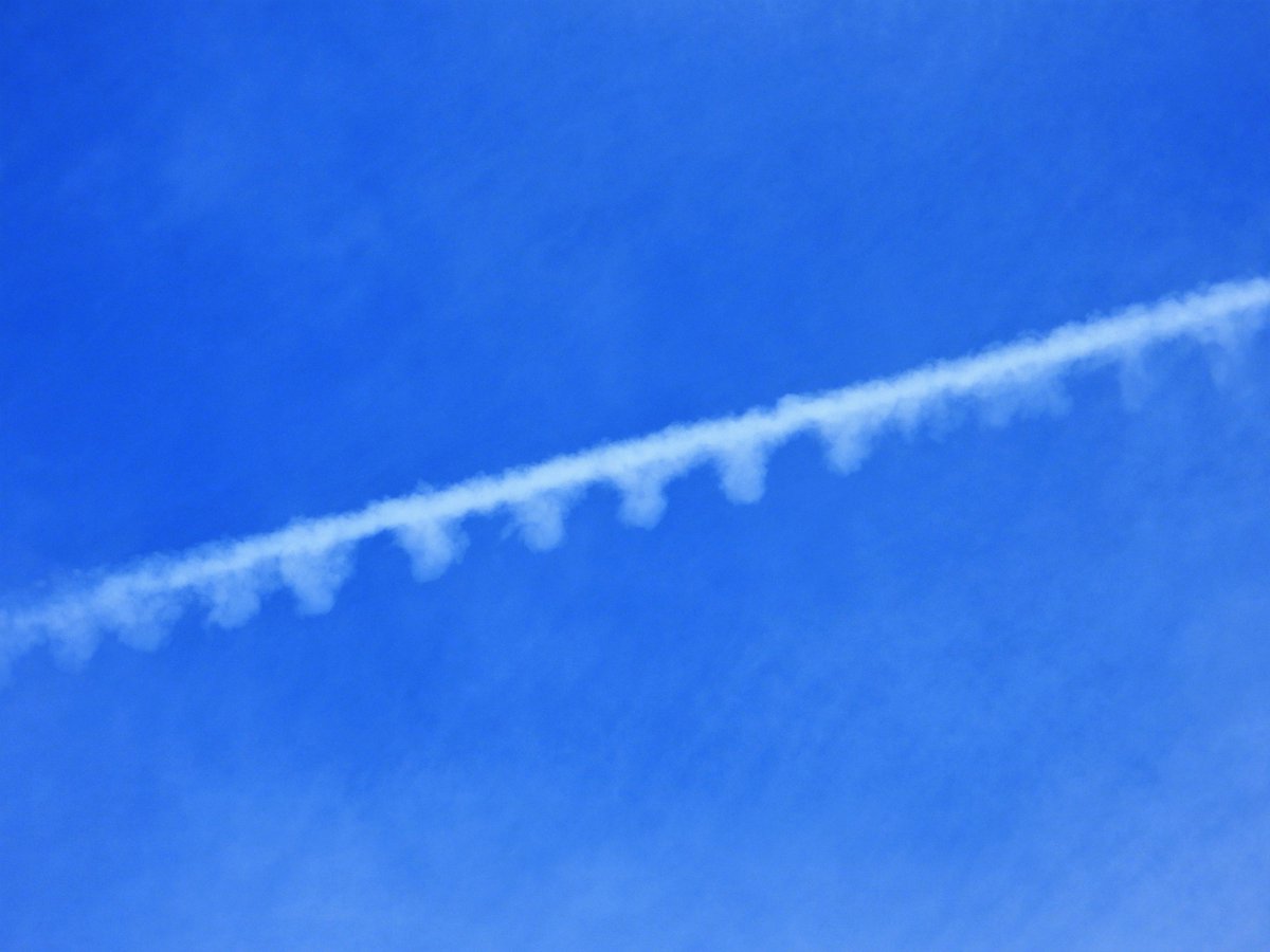 invictus tweet media