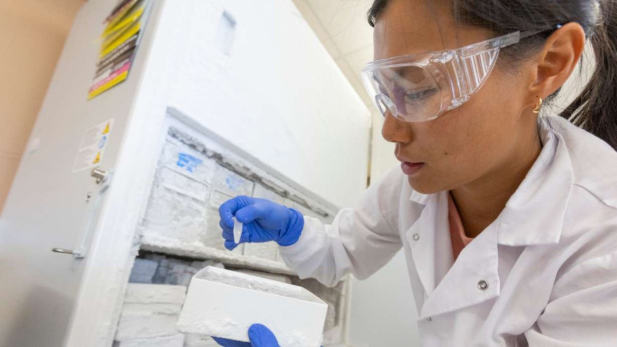 Could snail venom help treat diabetes? U. researchers say it can ksl.com/article/511150…