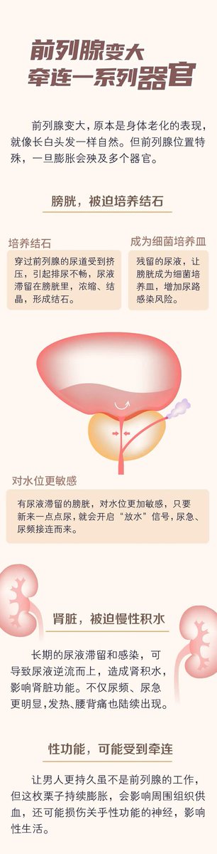 「你的前列腺健康吗？国际公认的自测法测一下」

之前我们科普过多次“前列腺”,前列腺是男人独有的器官，位于盆腔内，上接膀胱下连尿道，后面挨着直肠，外形像个倒置的栗子。

如果剥开这枚“栗子”，会发现尿道和输精管穿插而过，就像一个丁字路口。正因如此，前列腺手握“泌尿”与“生殖两大功能...