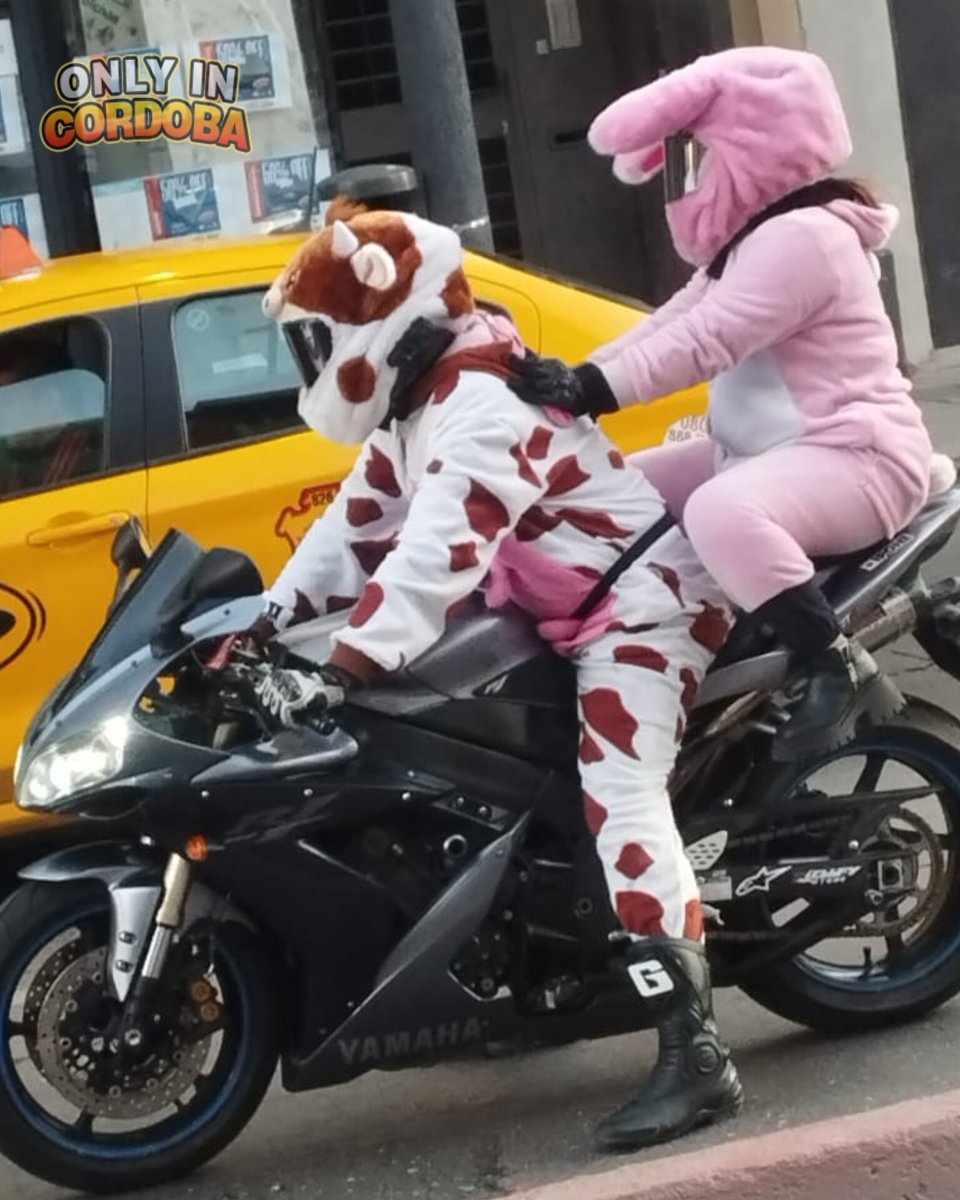 OnlyinCordoba's tweet image. The farm in Córdoba 🐮🐰
#Alberdi