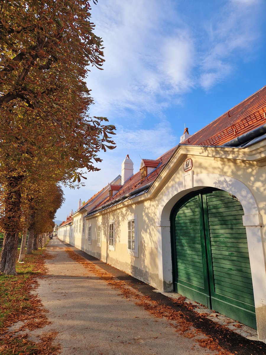 viennaoffices's tweet photo. Hallo September! 🍂🧡🔥
#ViennaOffices #MeteorologischerHerbstbeginn #HotInTheCity #WienLiebe #Augarten https://t.co/UvC5m4qiQI