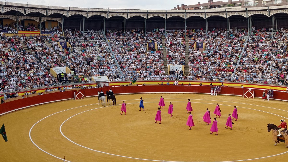estevezpepe's tweet photo. Última de feria #Goyesca
🏟️ @torospalencia #SanAntolin
🐂 #Cuvillo
⚔️ @JMManzanares
⚔️ @RocaRey
⚔️ @ginesmarinm
Crónica 📝📰🗞️ @DiarioPalentino https://t.co/xsgLdTWpCA