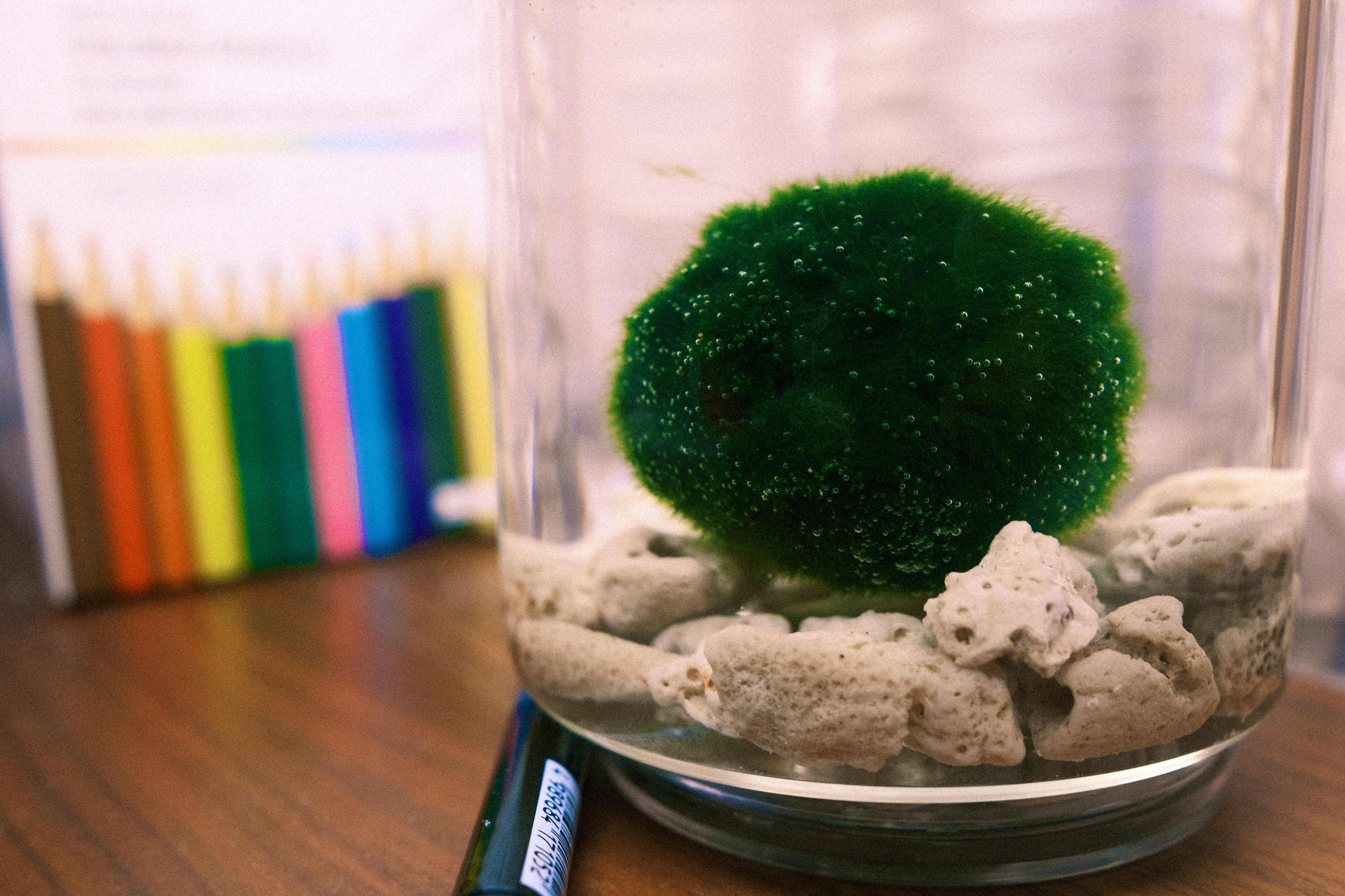 マリモ様　専 マリモ様 専 公式HP】マリモエクステイト｜実績紹介｜元麻布