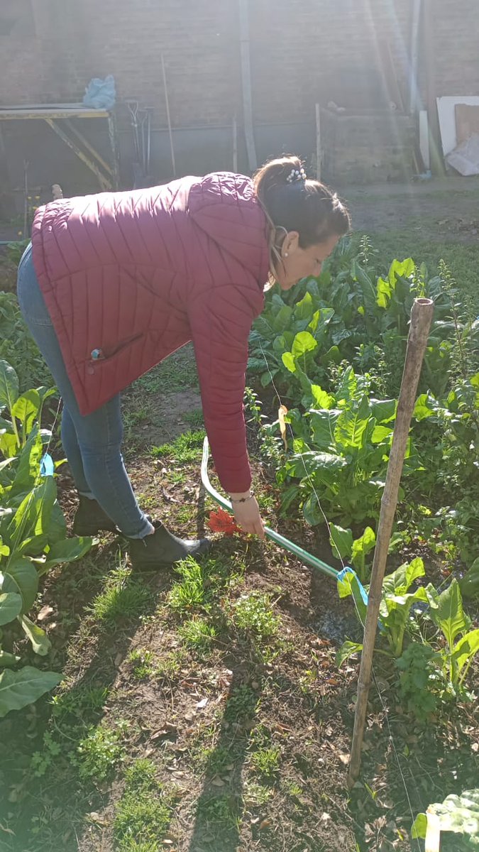 promfamiliarmsm's tweet photo. En los Polos Productivos de Indios y Vicentinos, las personas aprenden a crear huertas agroecológicas en cualquier espacio disponible, mejorando su alimentación al aprovechar su propia cosecha. Además incorporan herramientas para transformar el excedente en un emprendimiento. https://t.co/AhUxXHa3Ae