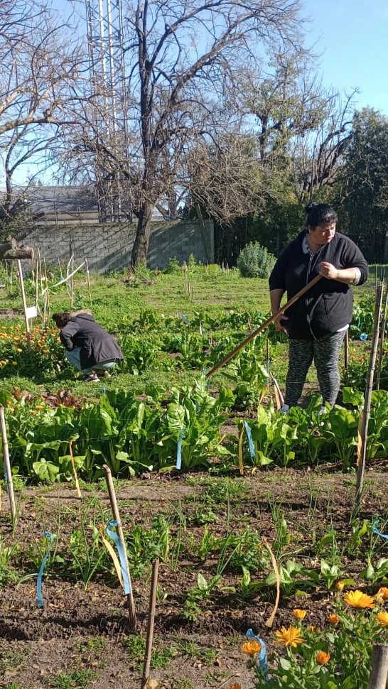 promfamiliarmsm's tweet photo. En los Polos Productivos de Indios y Vicentinos, las personas aprenden a crear huertas agroecológicas en cualquier espacio disponible, mejorando su alimentación al aprovechar su propia cosecha. Además incorporan herramientas para transformar el excedente en un emprendimiento. https://t.co/AhUxXHa3Ae