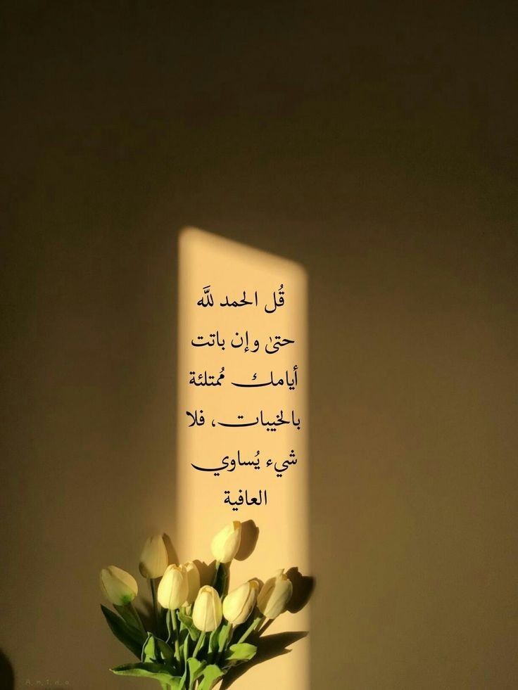 motm2na_'s tweet photo. الحمد لله🤎.. https://t.co/NbRv5C14ny