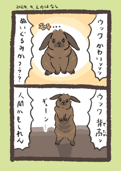 なにもの!?

#うさぎのいる生活 