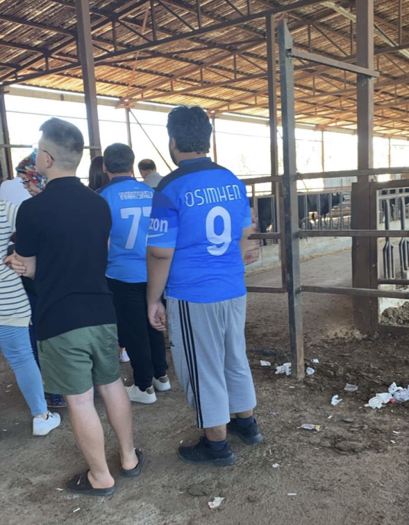 Yağız Alp tweet media