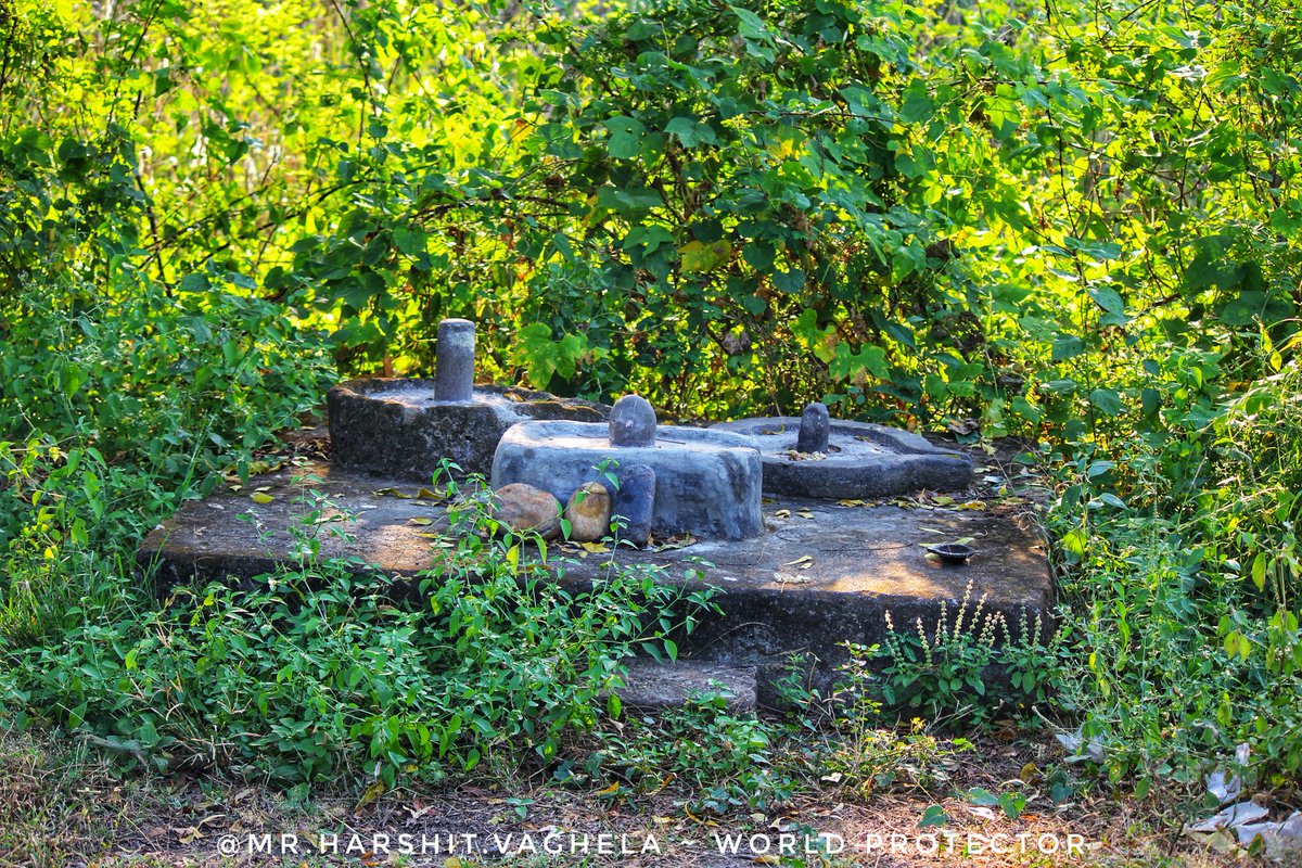 vaghelaharshit7's tweet photo. नीलकंठ, जो दूसरों को अमृत पिलाने के लिए स्वयं विष पीता है।
#nilkanth #Shiv #Temple #Mahadev #bholenath #bholebaba #wildlife #author #poetry #poet #worldprotector #Mission_of_world_protection #nature #NaturePhotography
#Discover_of_Harshit_Vaghela #Life_of_Harshit_Vaghela https://t.co/Hz1Y1sJvIs
