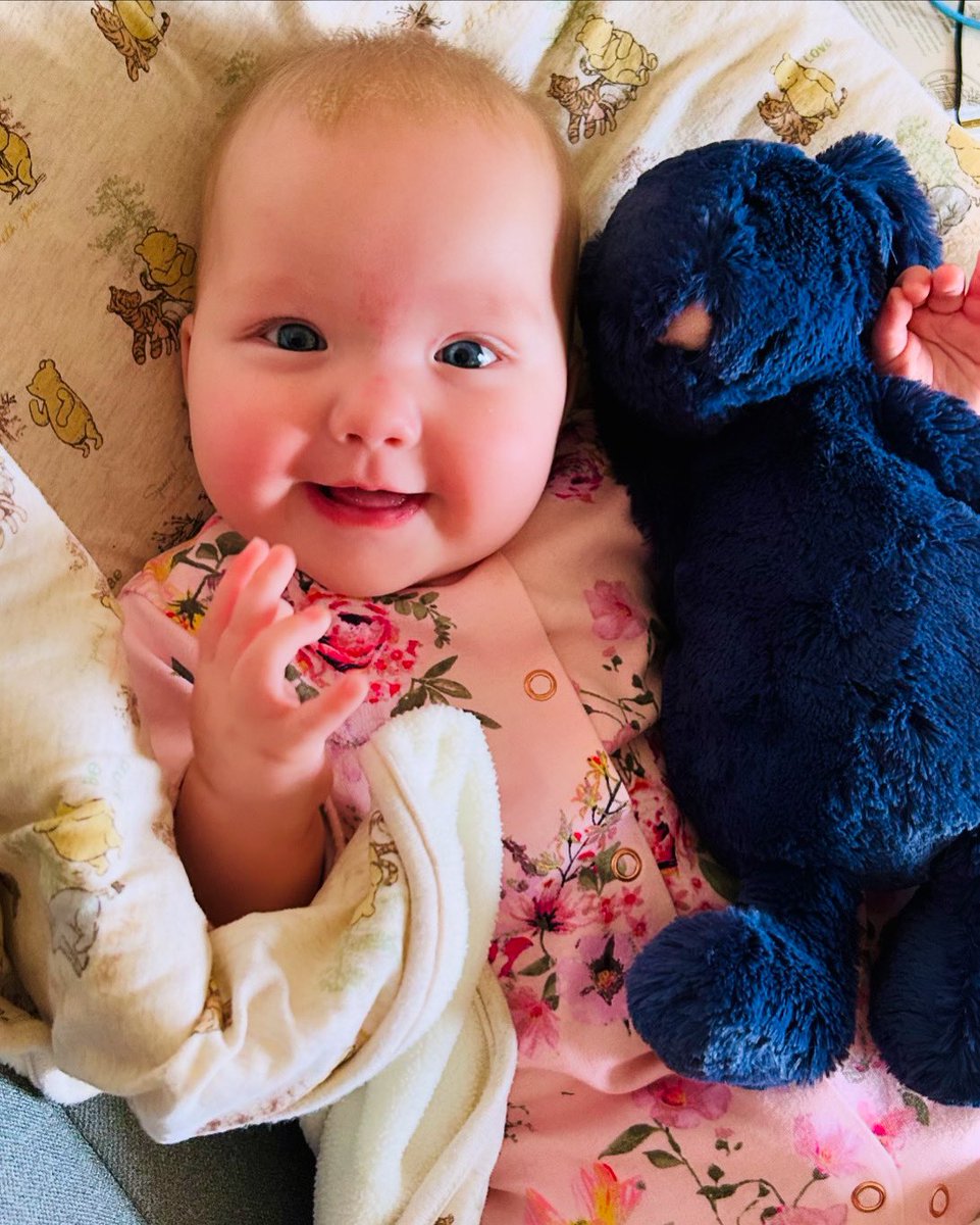 Jess 🦥 tweet media