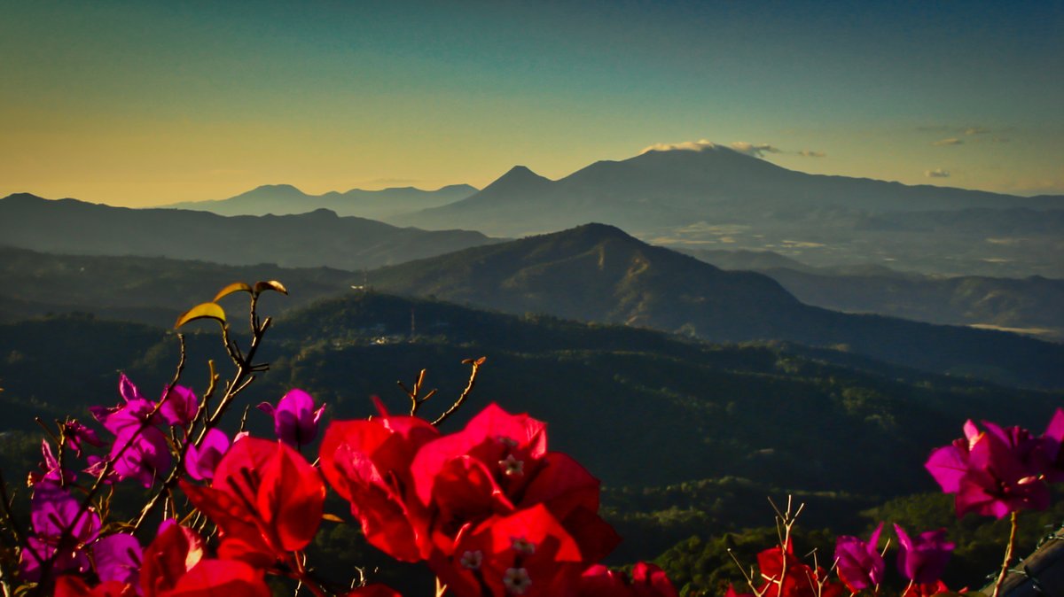 SAMphotograph's tweet image. #Vintage .@sonylatin Encontré 505 fotografías en la #MemoryStick de 2GB de la cámara Cybershot 2007-2008 de 7.2 Mpxls. Aún funciona. Me he sorprendido de la calidad del censor, comparado con las cámaras actuales 2023-2024 de otras marcas. .@SPE_LatinAM .@SonyPicturesMX .@Sony