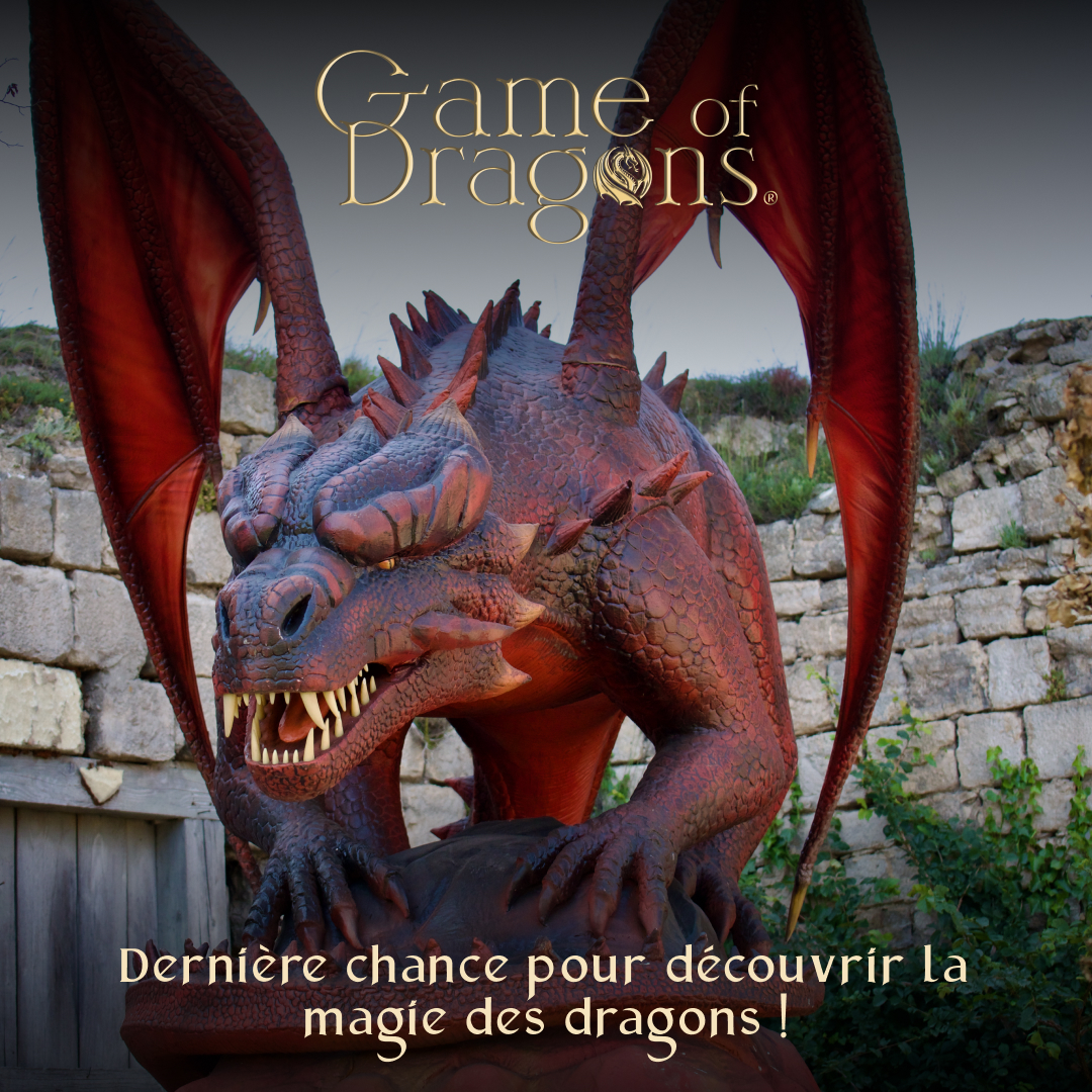 fever_fr's tweet photo. Dernière chance d'entrer dans le monde magique de dragons à Toulouse💭✨🐉
