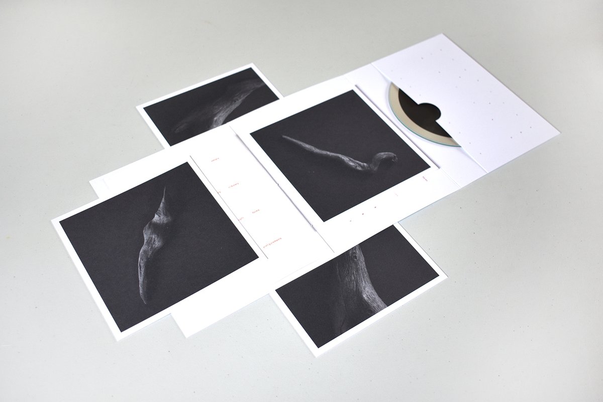 Bearer
Richard Skelton

aeolian.bandcamp.com/album/bearer