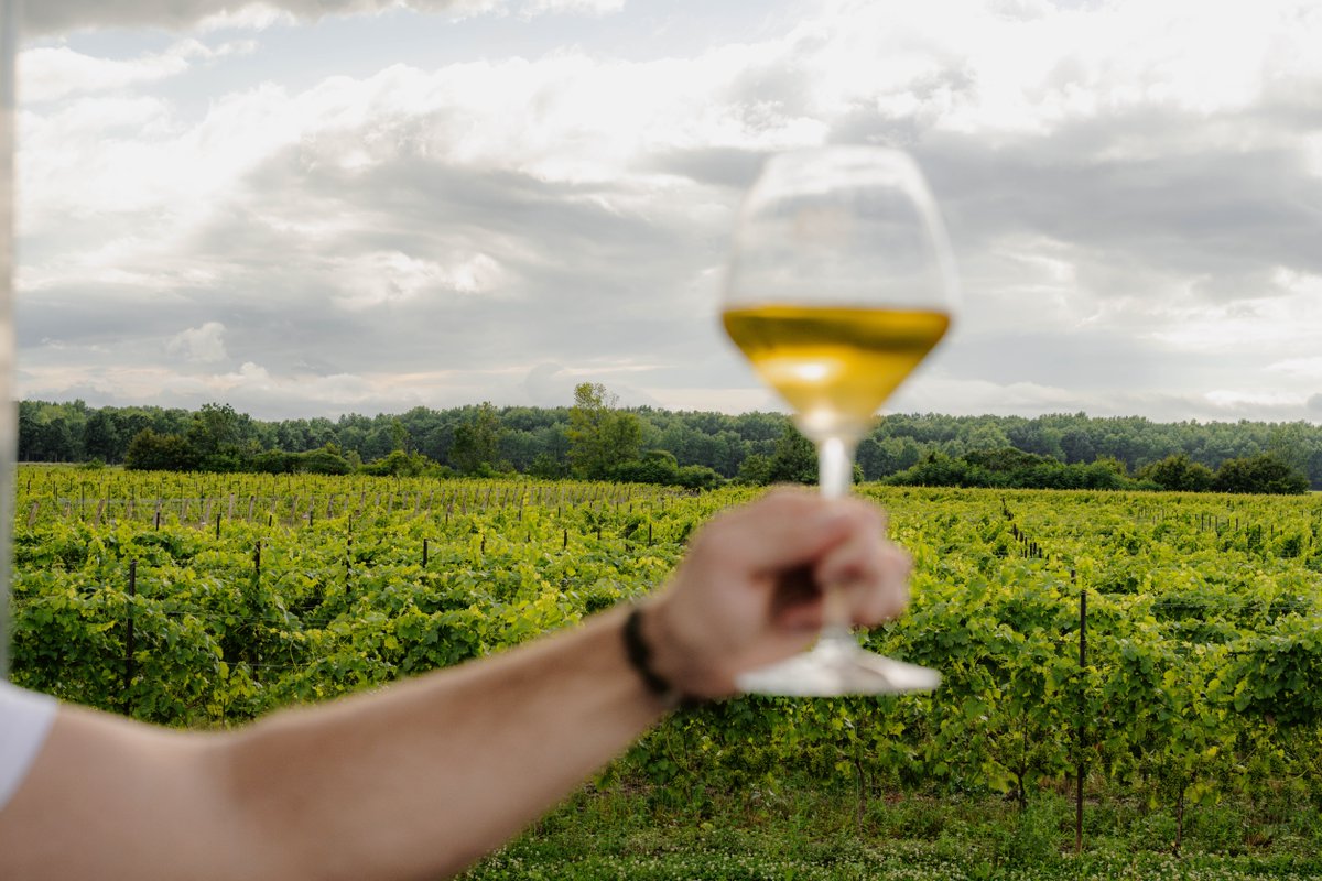 Raise your glass to Labour Day long weekend! 🎉🍷 We’re ready to pour you some delicious wines as we bid farewell to summer’s last hurrah. Join us today from 11am - 6pm! 

📸 <a href="/daniel/">daniel</a>.neuhaus