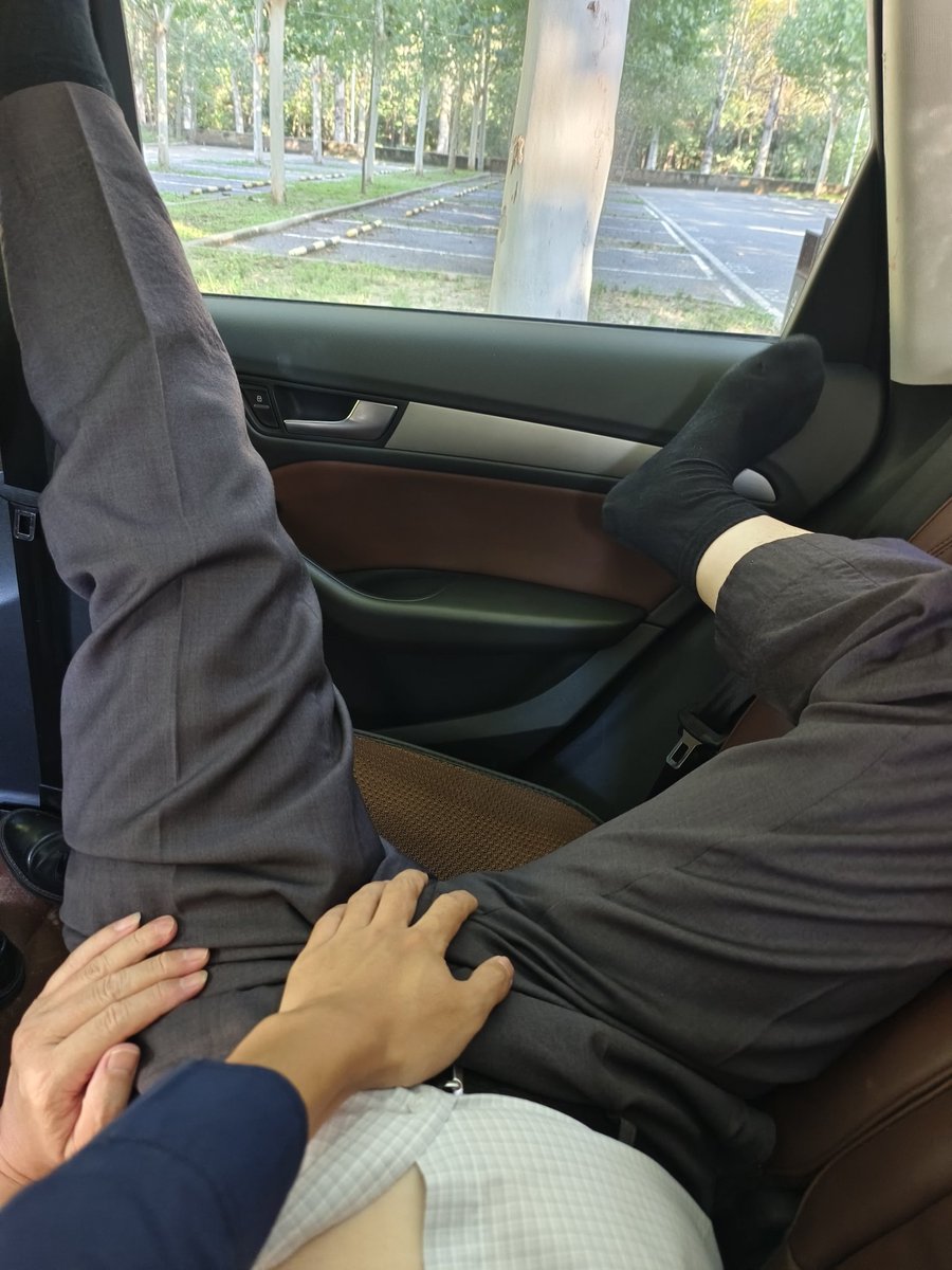 银发老爷奴 tweet media