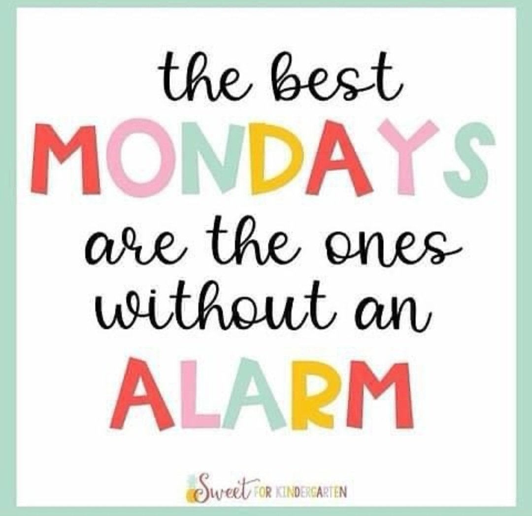 Katie (Mrs. B 🐝) tweet media