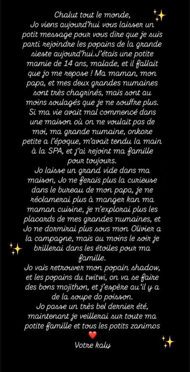 Le Grand Rêve 🌠 tweet media