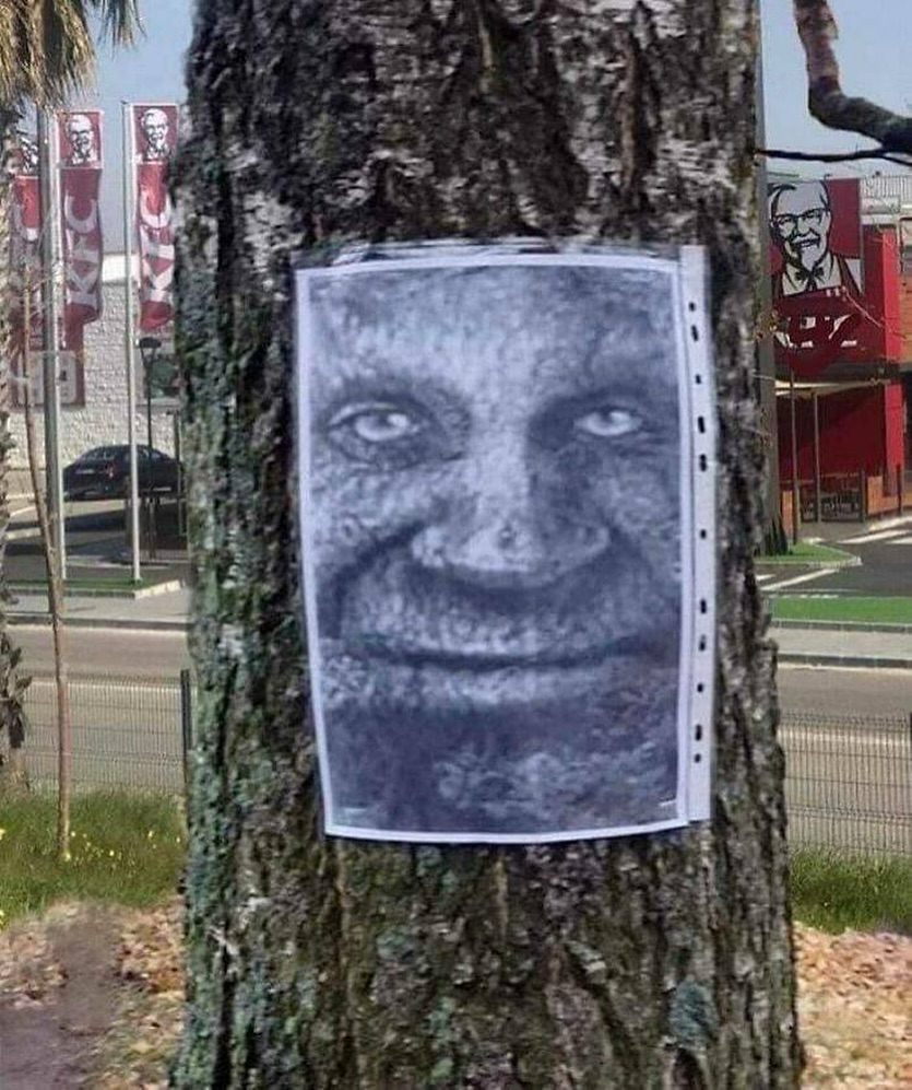 modern day mystical wise old tree.