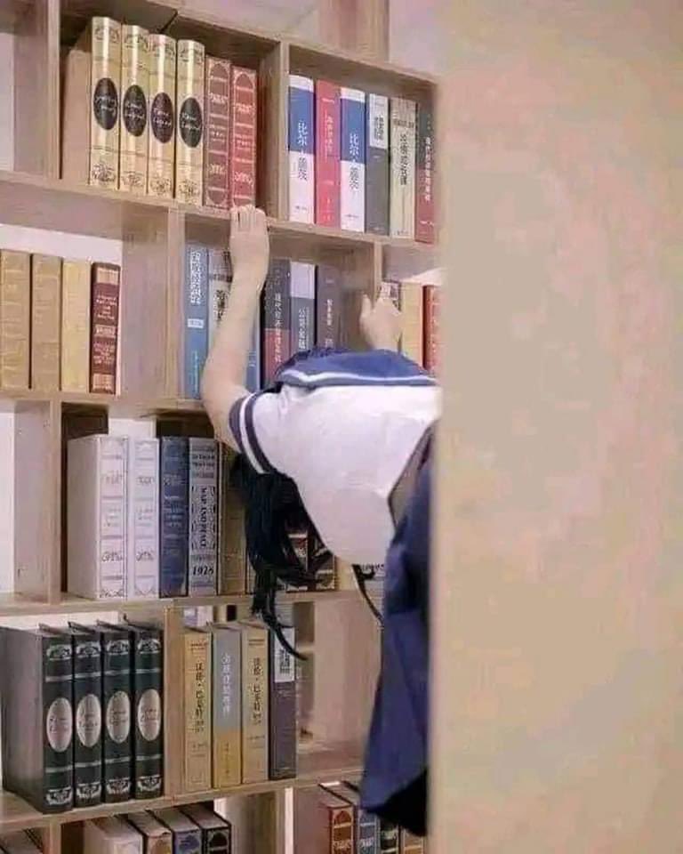 sosmed keras tweet media