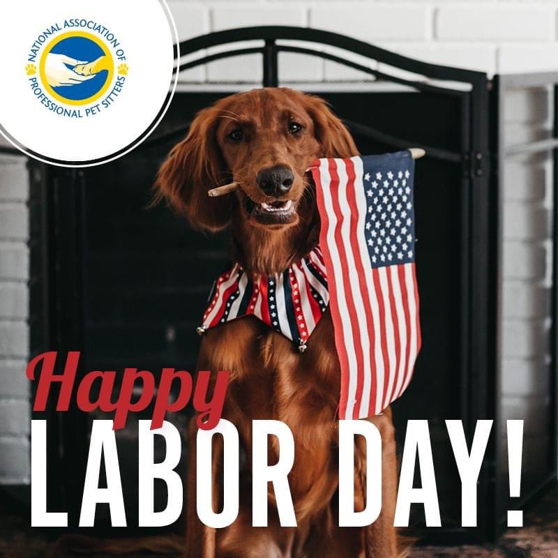 TheNAPPS's tweet photo. Are you working or playing this Labor Day Weekend?!
Be safe and have fun!
Don’t forget to sign up for the NAPPS 2025 Conference in Tempe, Arizona!  
Our speaker lineup has been announced and is up on our Events page on our website!
#labordayweekend #napps #hireapronapps https://t.co/ZV1IpV22ZO