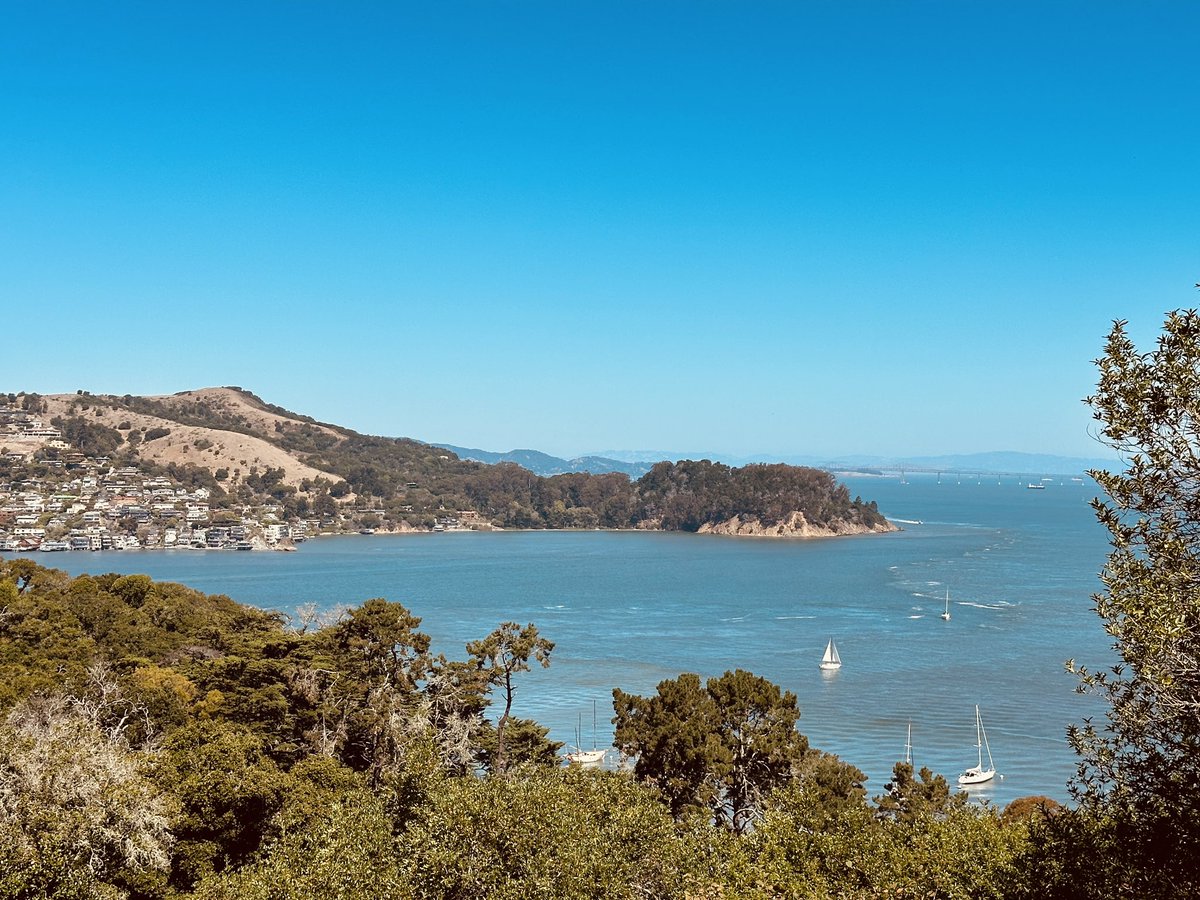 dearestmiks's tweet photo. 09.01.24 || started September by checking something off my bucket list: Angel Island. https://t.co/5M8KJRXS83