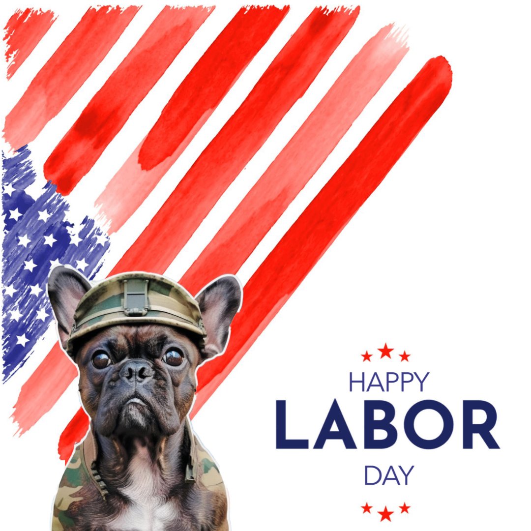 EricaKirstin's tweet photo. Happy Labor Day, friends!! 🥰 
Enjoy your day!! 💙🩵🐾🐾
#happylaborday #LaborDay #LaborDayWeekend #frenchie #LaborDay2024 #dogsoftwitter #dogsofx #pugmugai https://t.co/d4YV90wL9a