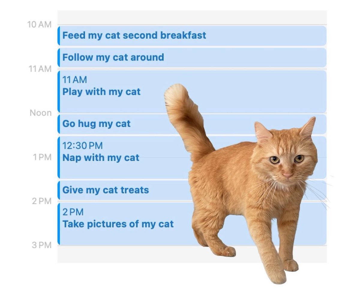 MegPoxon's tweet image. How Mr Peaches believes WFH means