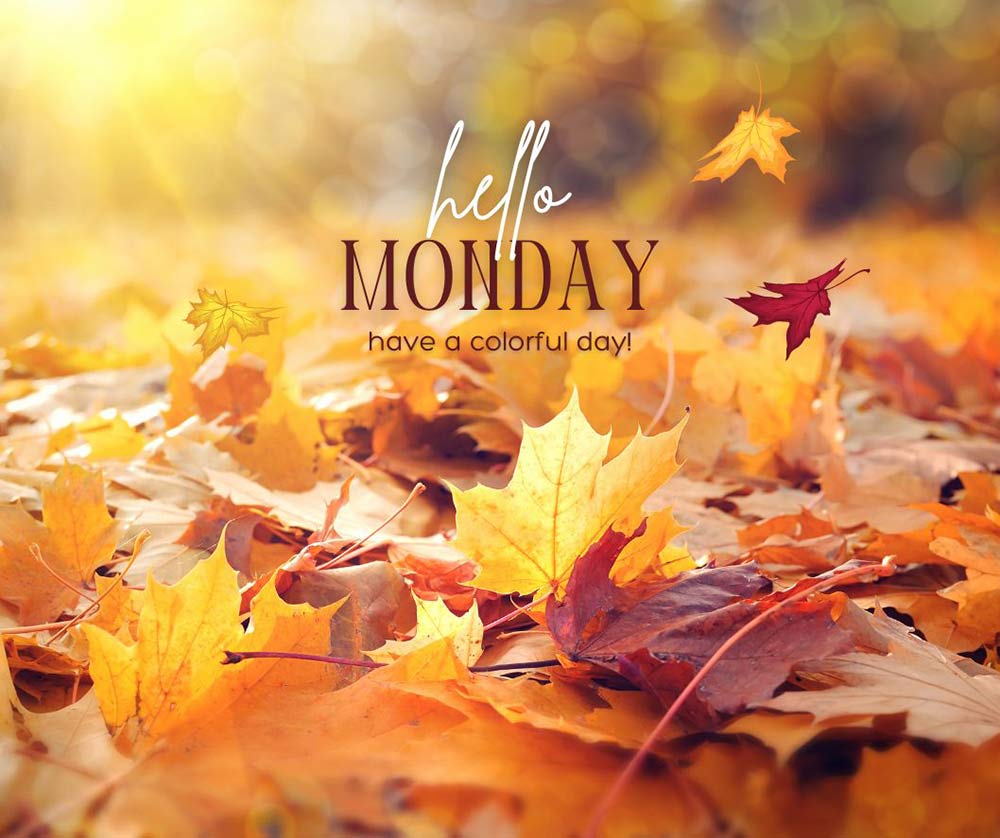 Makeup and Beauty Blog Monday Poll, Vol. 846 dlvr.it/TCjSTv