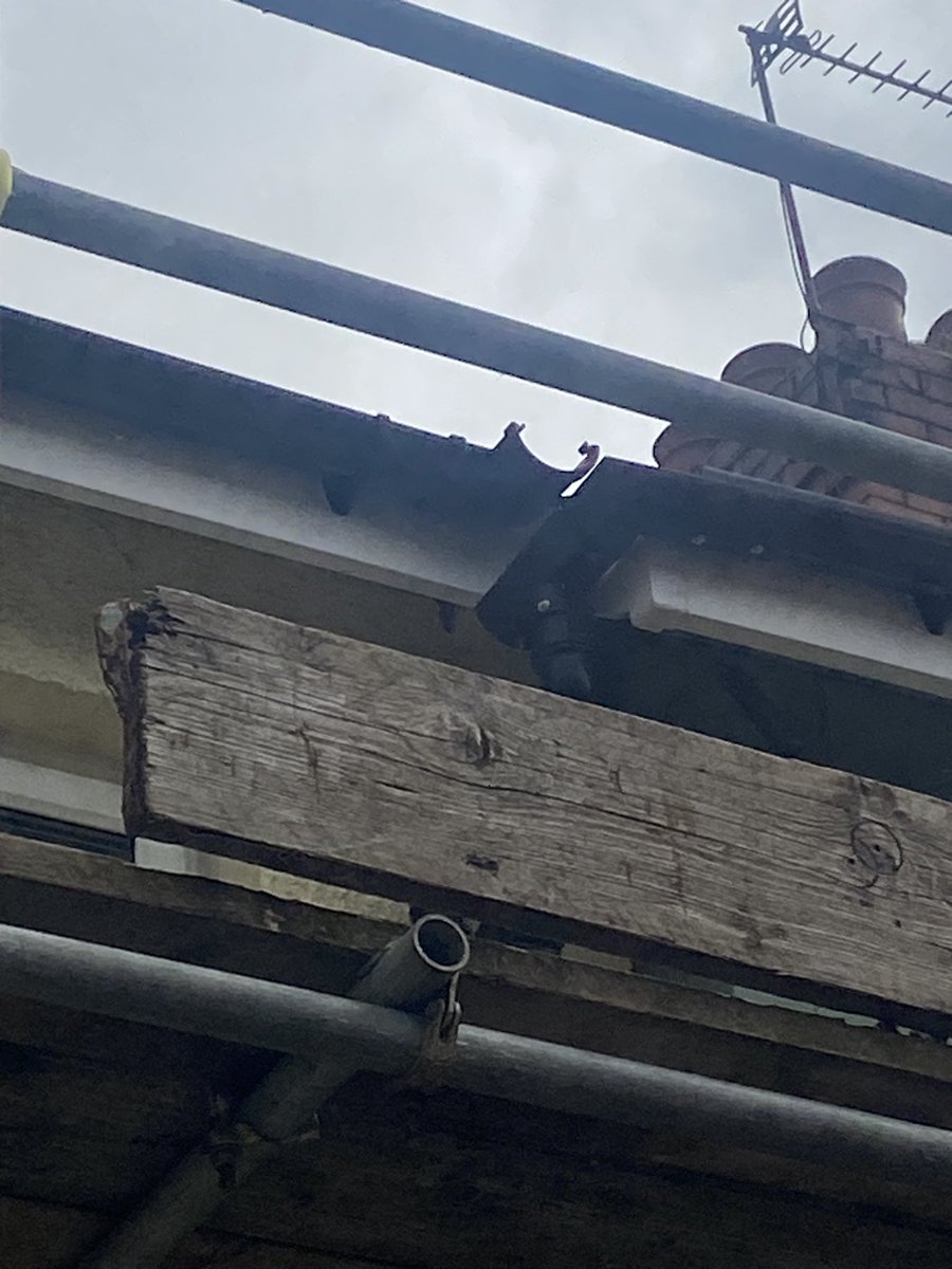 RhysMurphy15's tweet photo. They have not returned, no mention of whether they were done or not. Guttering looks shoddy, I look after this property to a high standard yet I’m met with low level workmanship. Very disappointed. https://t.co/2OaLlMGsn0