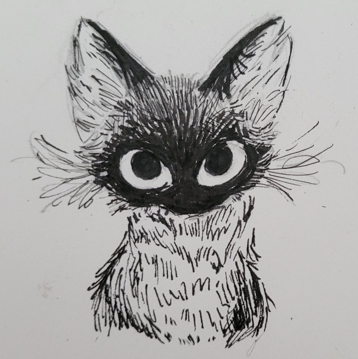 Big ol' peepers