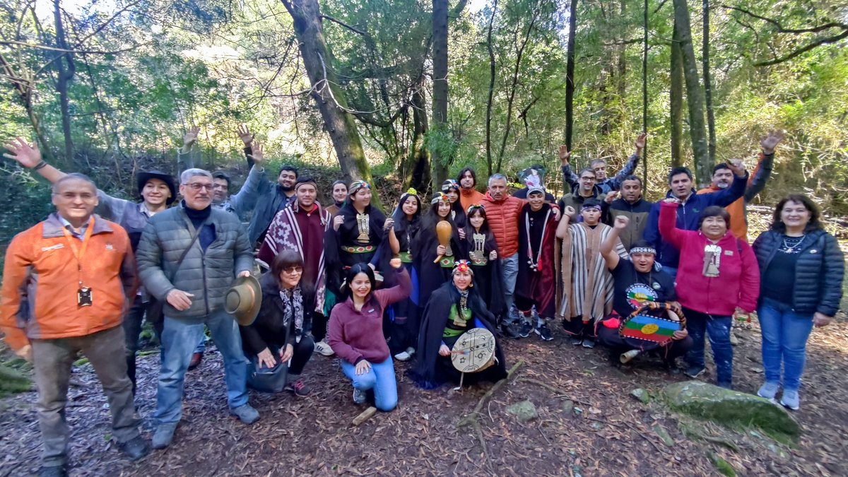 Les compartimos la celebración celebramos del 3er cumpleaños del Parque Nacional Nonguén. 

🏞️Nuestro Parque Nacional fue escenario de un acto que incluyó una ceremonia de nuestro pueblo originario mapuche

🏞️ En la ceremonia contamos con la presencia del Alcalde de Chiguayante