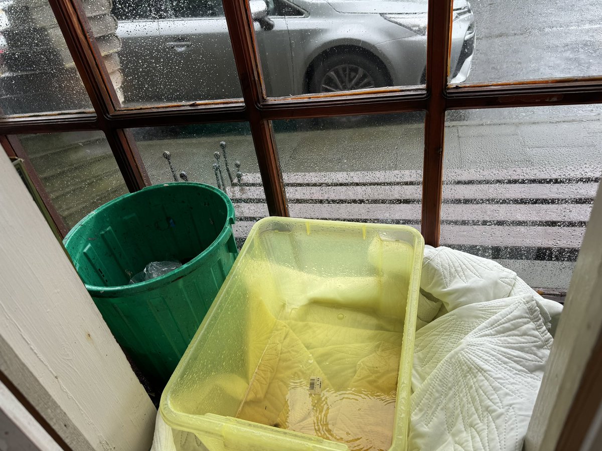 Alexandra Westcott (Piano Teacher) tweet media