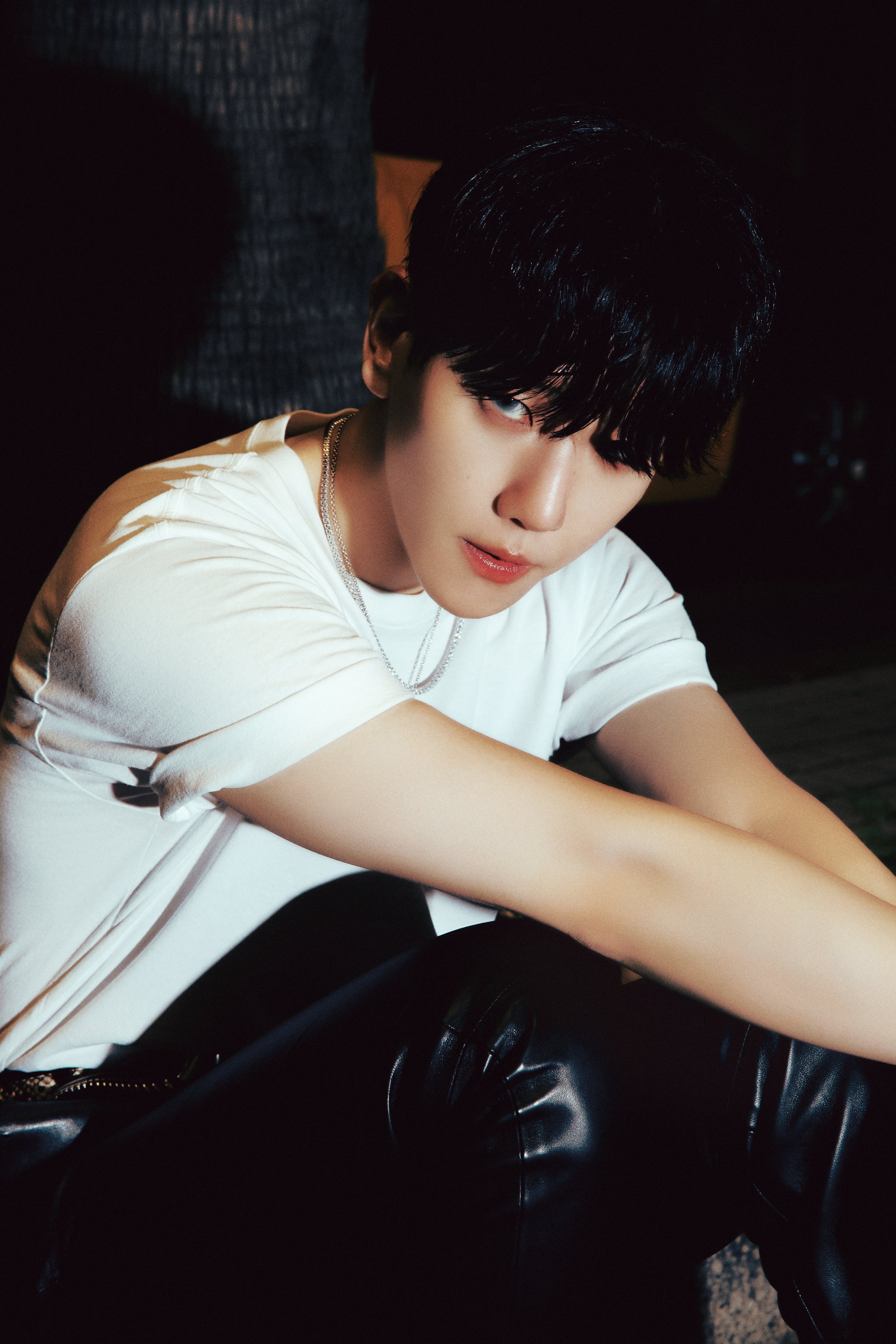 韓国ペンミフラッグ テヒョン BAEKHYUN JAPAN OFFICIAL on X: 
