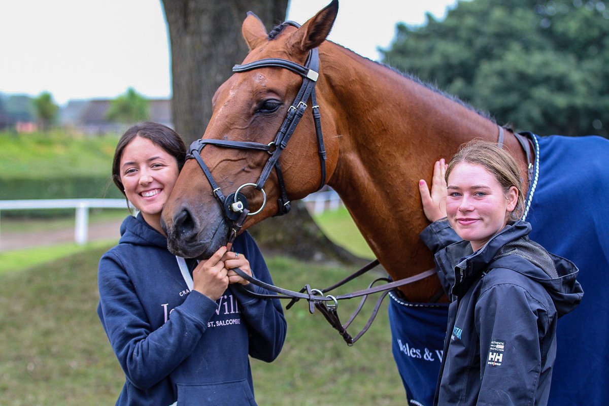 William Whitaker tweet media