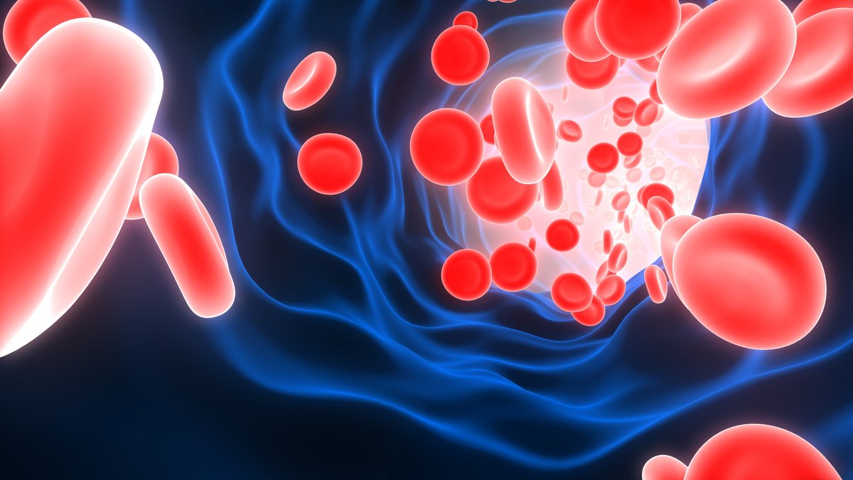 The France Foundation (@francefound) on Twitter photo For patients with hemophilia, breakthrough bleeds are a serious occurrence. As providers, the better we understand breakthrough bleeds, the better we’re able to manage them. Learn about this on September 12th at the NBDF Bleeding Disorders Conference: bit.ly/9362 For patients with hemophilia, breakthrough bleeds are a serious occurrence. As providers, the better we understand breakthrough bleeds, the better we’re able to manage them. Learn about this on September 12th at the NBDF Bleeding Disorders Conference: bit.ly/9362