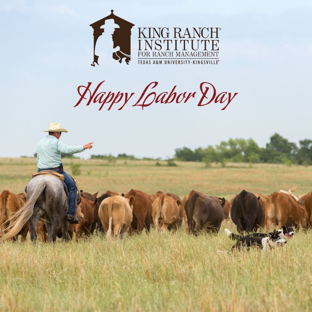 King Ranch Institute tweet media