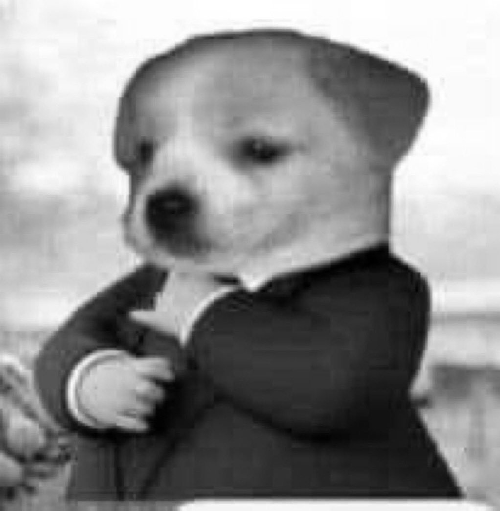 KT (END) tweet media