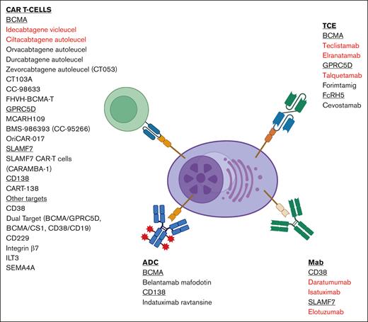 Beyond BCMA: newer immune targets in myeloma
ow.ly/HMvC50T7MWr #immunobiologyandimmunotherapy #lymphoidneoplasia
