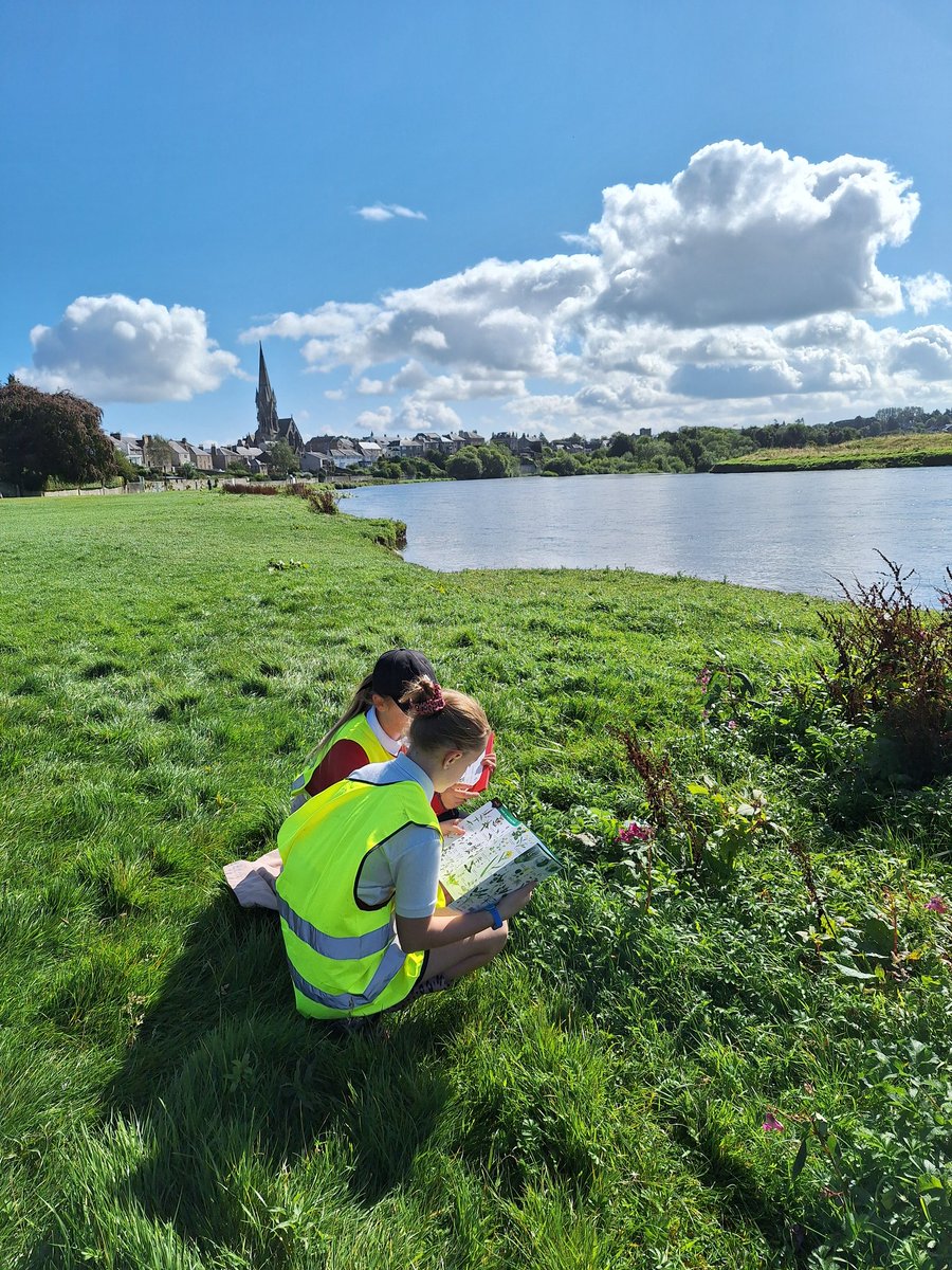 Last week, learners from Edenside Primary had their first session exploring the biodiversity of the Cobby, their local River Tweed spot. We surveyed riverbank plants, identified trees using leaves, and learned about the impact of invasive non-native plants #destinationtweeduk