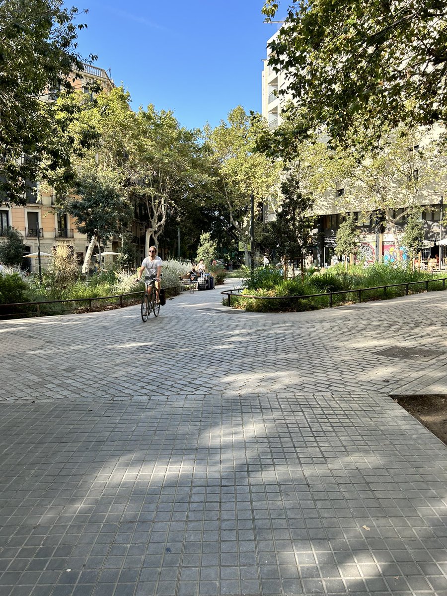 Billy Fields tweet media