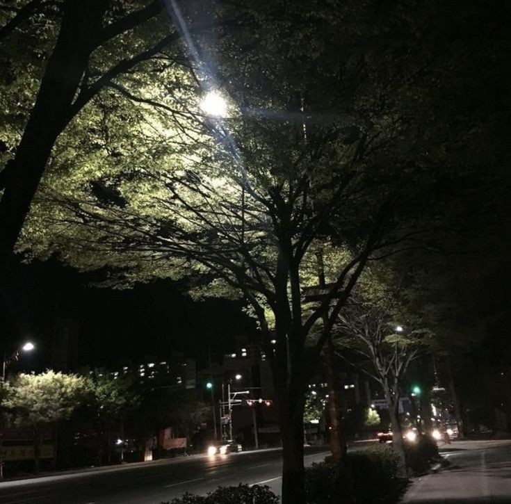 KIMSONAH_IDL's tweet photo. 『โกงเวลา​ w/ @Hunyusung_IDL 』

📍สวนสาธารณะ

เวลาค่ำมืดวนมาอีกครั้งในวันนี้​เป็นเวลาที่ใครหลายๆคนต่างเสร็จ​งานหรือภารกิจ​ประจำวันซึ่งซอนอาก็ไม่ต่างเช่นกัน​ เสื้อวอร์มแขนยาวถูกรูดขึ้นให้ปกปิดร่างกายเพิ่มเพิ่มความอุ่นในตัวเองในระหว่างที่รอคนที่นัดมา

(+) https://t.co/cyhXf6OhKm