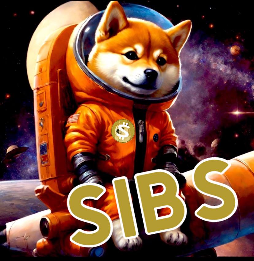 DingerCoinBASE's tweet photo. @viperbitcoin You have noted the #SATS which represents the smallest unit of #BTC.
=>
Don't miss #SIBS which is the unit of #DOGECOIN.

#DRC20 on the road 🚀🌕 https://t.co/ONByjQYCbU