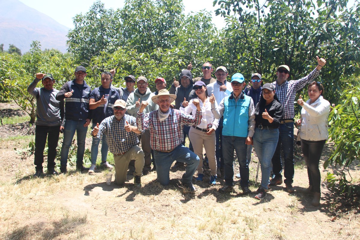 KOPIAEcuador's tweet photo. En la Finca  “El Milagro”, se  llevó a cabo un día de campo del proyecto de Aguacate. Se trataron temas como: Estudios de calicatas  para determinar la estructura del suelo, manejo del cultivo de acuerdo a  factores edafoclimáticos y planes de fertilización para aguacateros. https://t.co/ebYF6qi5Kd