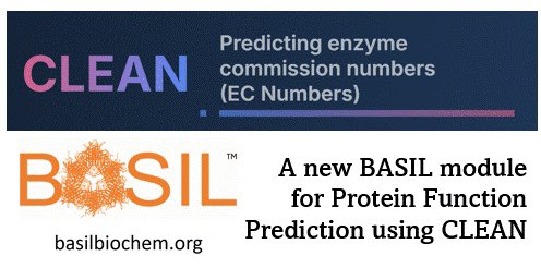 We’ve posted a new module!