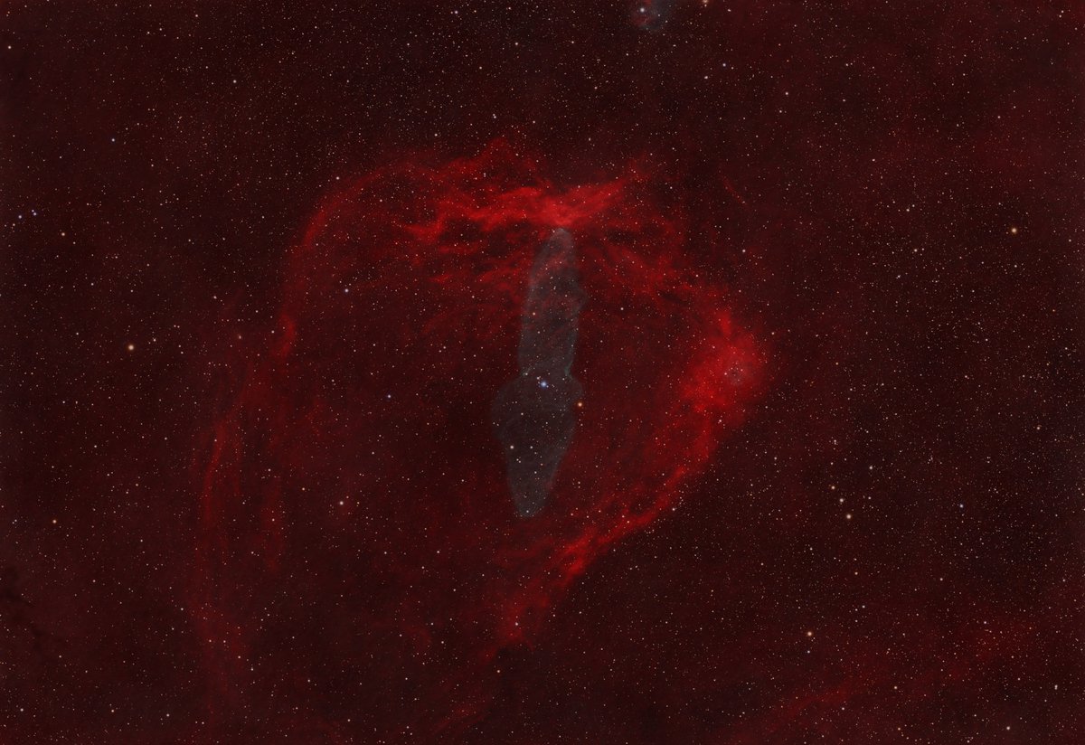 Flying Bat &amp; Squid w/ a Color Camera (2024)
The Flying Bat Nebula, Sh2-129, is a huge region of ionized hydrogen gas represented by the red color whereas the much dimmer Squid Nebula, Ou4, consists of ionized oxygen gas.
Higher Quality:
astrobin.com/pzeern/?nc=col…