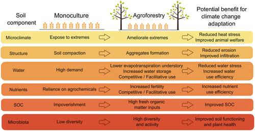 Soil Use and Management tweet media