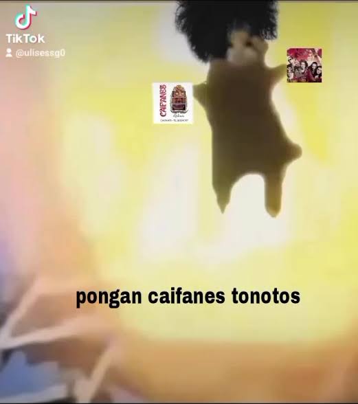 acg_dg's tweet image. #PoderosoWet
Buenos días!!