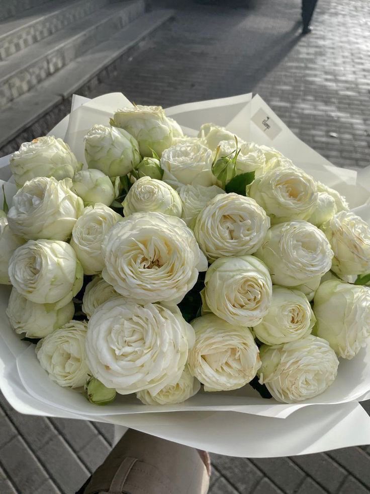 ❀ (@i3moment) on Twitter photo 