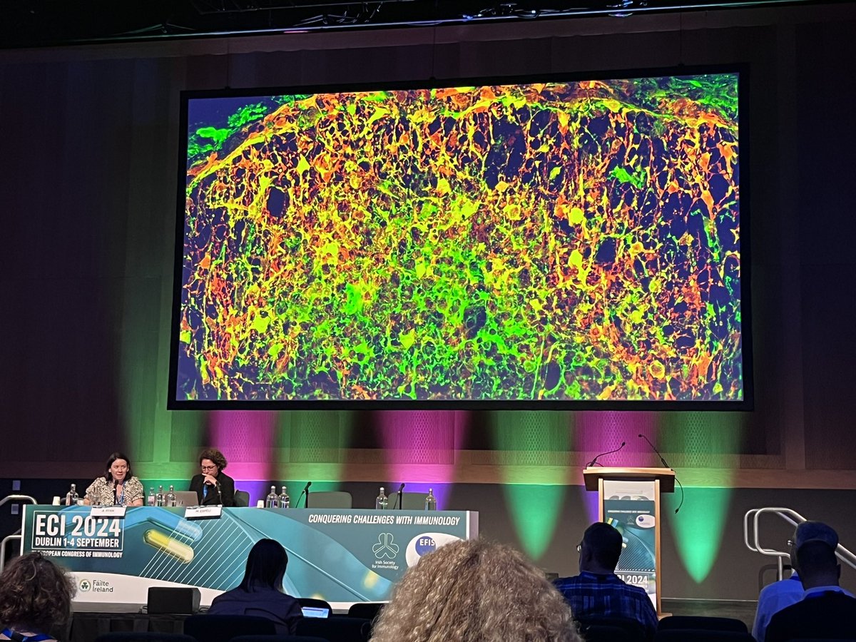 Eóin McNamee (@e_mcnameelab) on Twitter photo #EveryCellisanImmuneCell
Brilliant #Stromal #immunology session at #ECI2024 chaired by <a href="/aideenryan1/">Aideen Ryan</a> and Marion Espeli.
Talks by <a href="/ejvillablanca/">Ejv</a> | <a href="/theLundLab/">Amanda Lund Lab</a> | Burkhard Ludewig highlighting the importance of #Fibroblasts & #Lymphatics in Immunity #EveryCellisanImmuneCell
Brilliant #Stromal #immunology session at #ECI2024 chaired by <a href="/aideenryan1/">Aideen Ryan</a> and Marion Espeli.
Talks by <a href="/ejvillablanca/">Ejv</a> | <a href="/theLundLab/">Amanda Lund Lab</a> | Burkhard Ludewig highlighting the importance of #Fibroblasts & #Lymphatics in Immunity