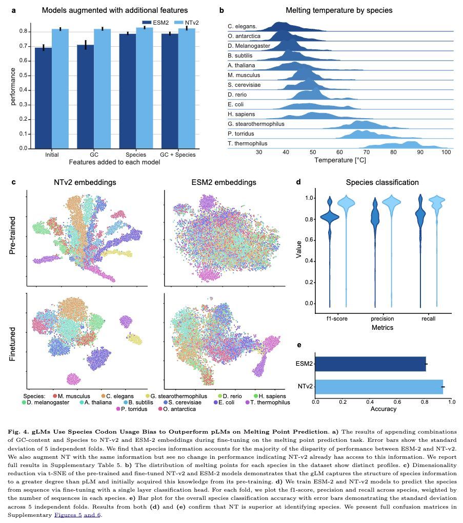 strnr's tweet photo. Are Genomic Language Models All You Need? Exploring Genomic Language Models on Protein Downstream Tasks https://t.co/ztasxjP7aj https://t.co/jZJPSNrrTv